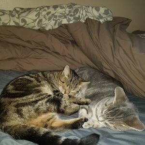 Meet your Posher, Ariana